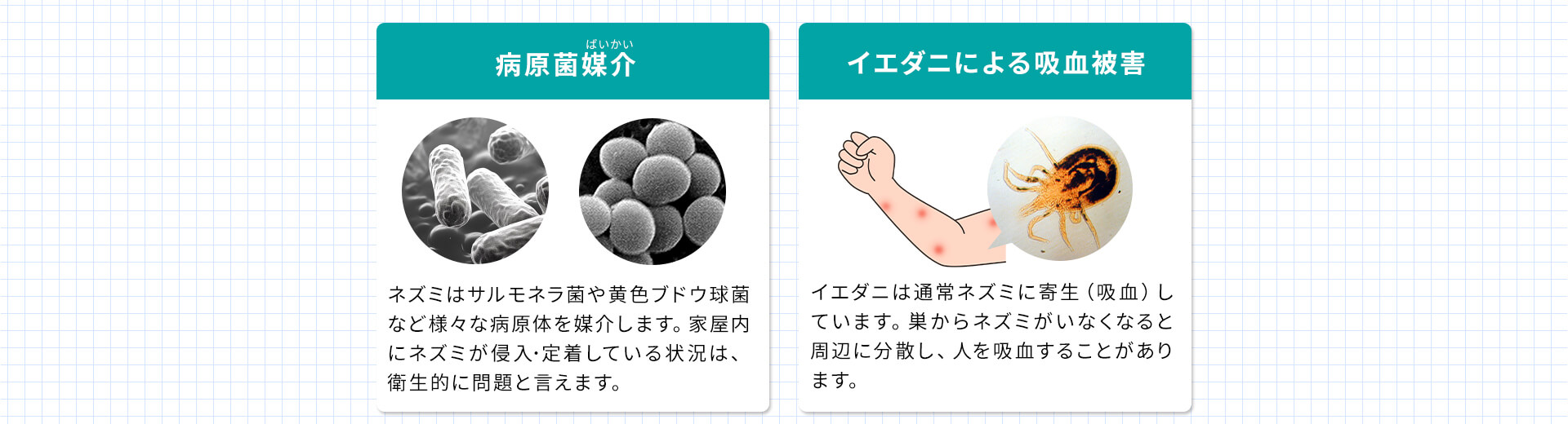 病原菌媒介・イエダニによる吸血被害