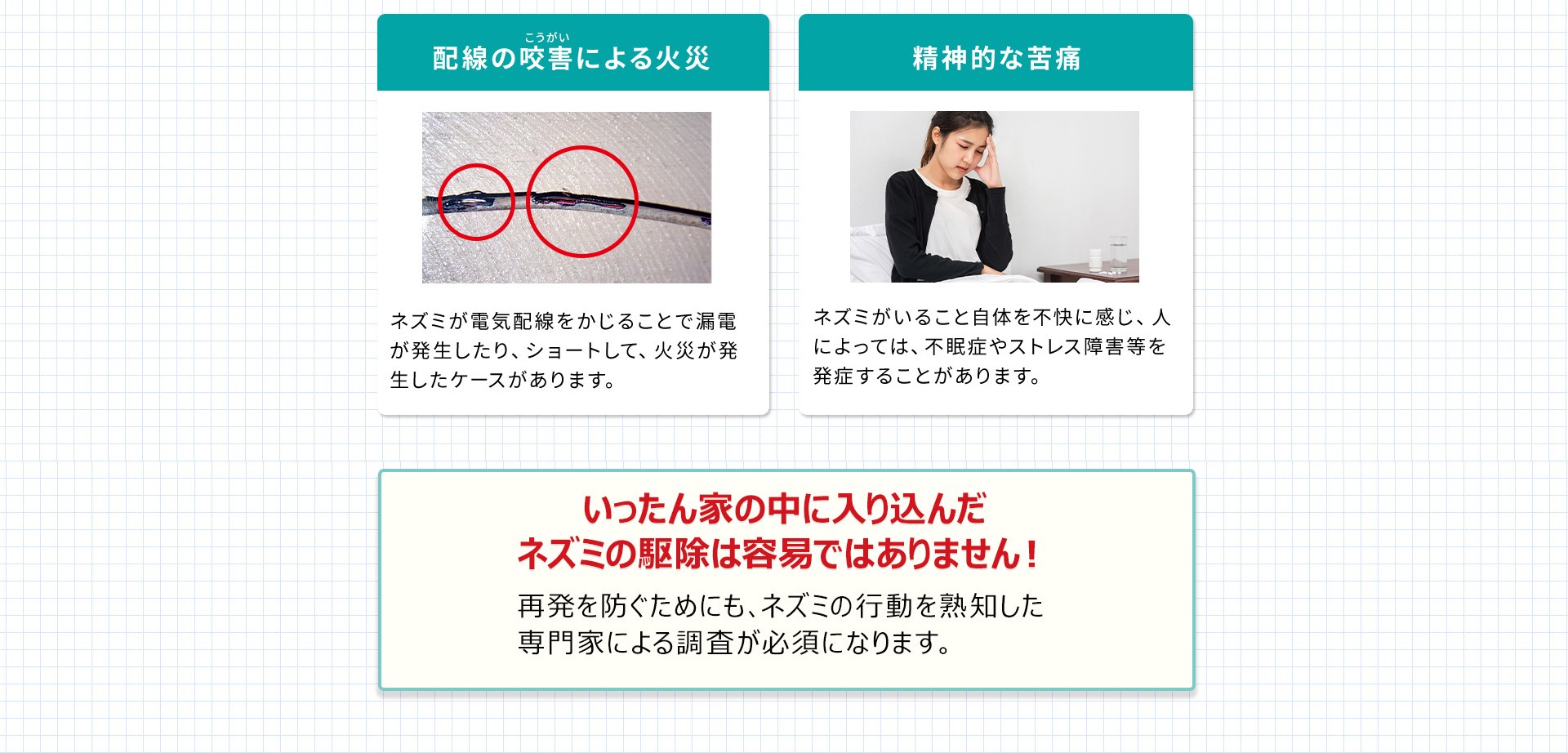 配線の咬害・精神的苦痛