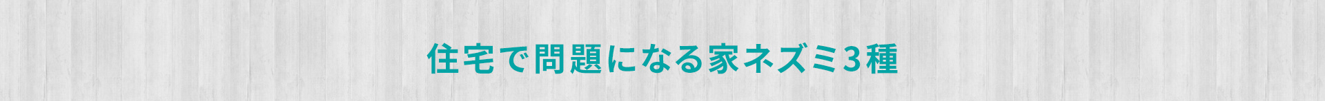 住宅で問題になる家ネズミ3種