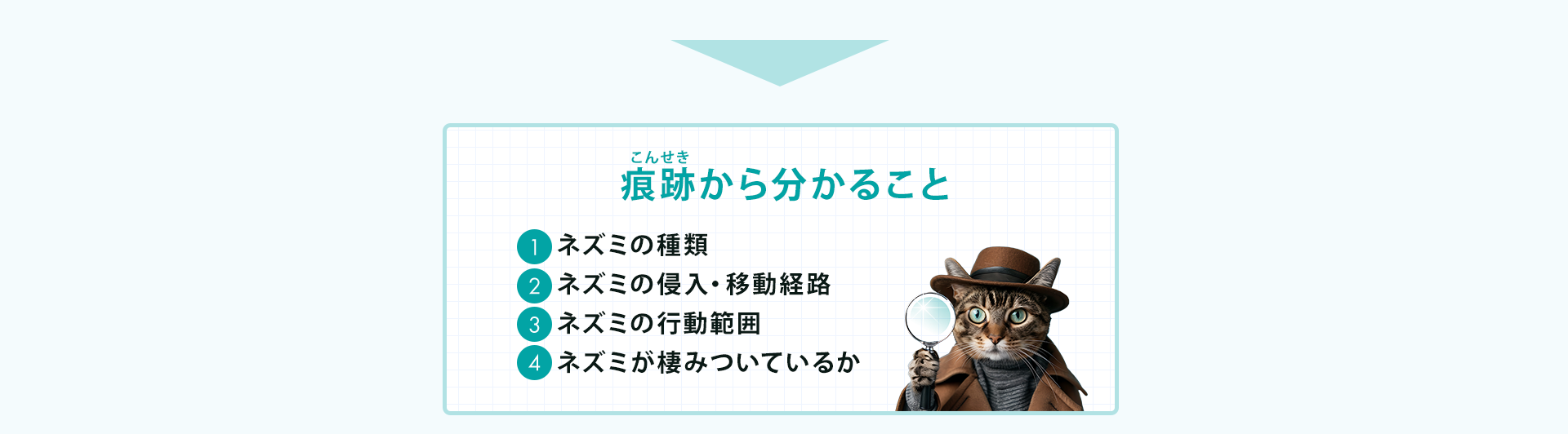 無料調査で以下のことが分かります！