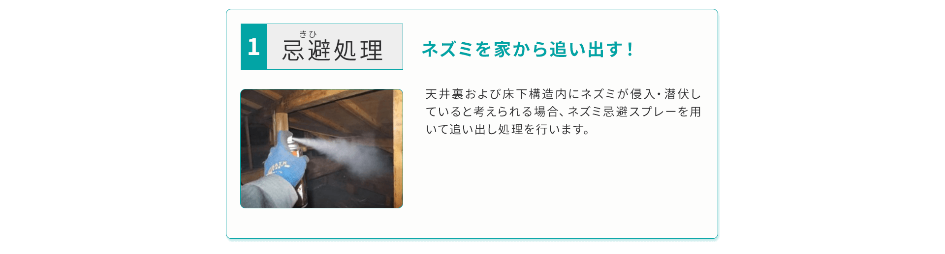 ネズミを家から追い出す
