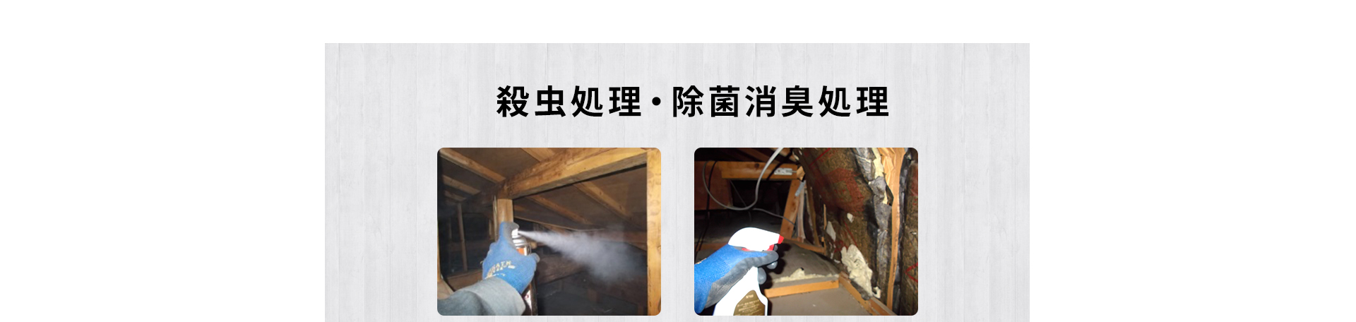 殺虫処理・除菌消臭処理