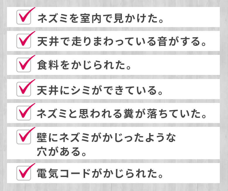 ネズミを室内で見かけた