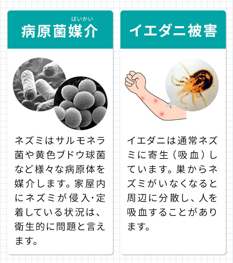 病原菌媒介・イエダニ被害
