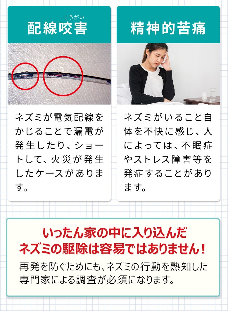 配線咬害・精神的苦痛