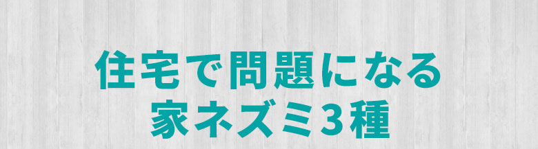 住宅で問題になる家ネズミ3種