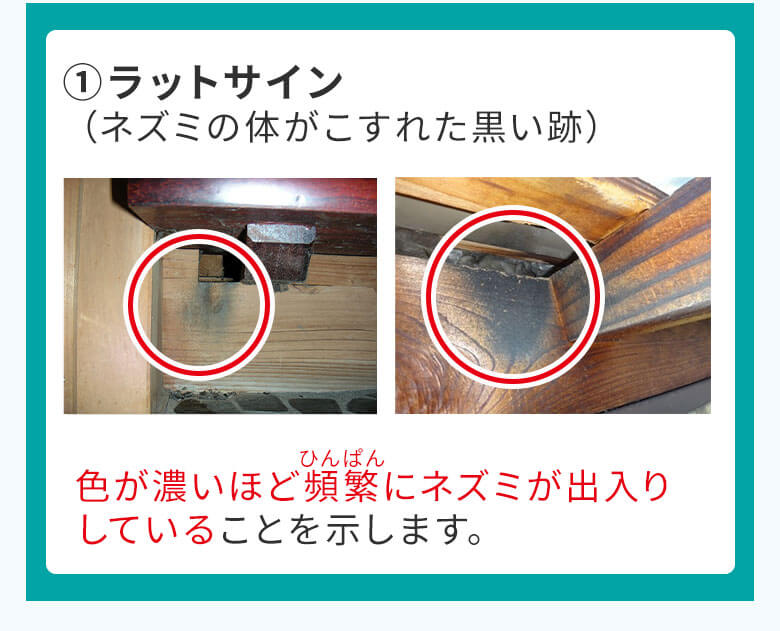 ①ラットサイン