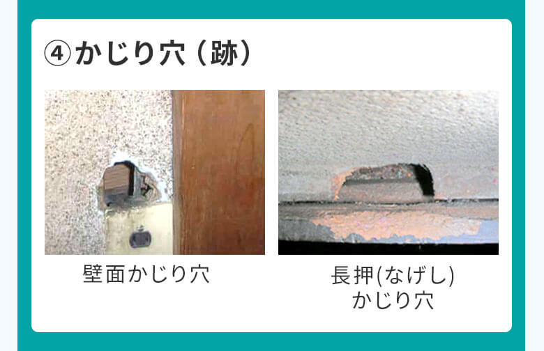 4かじり穴