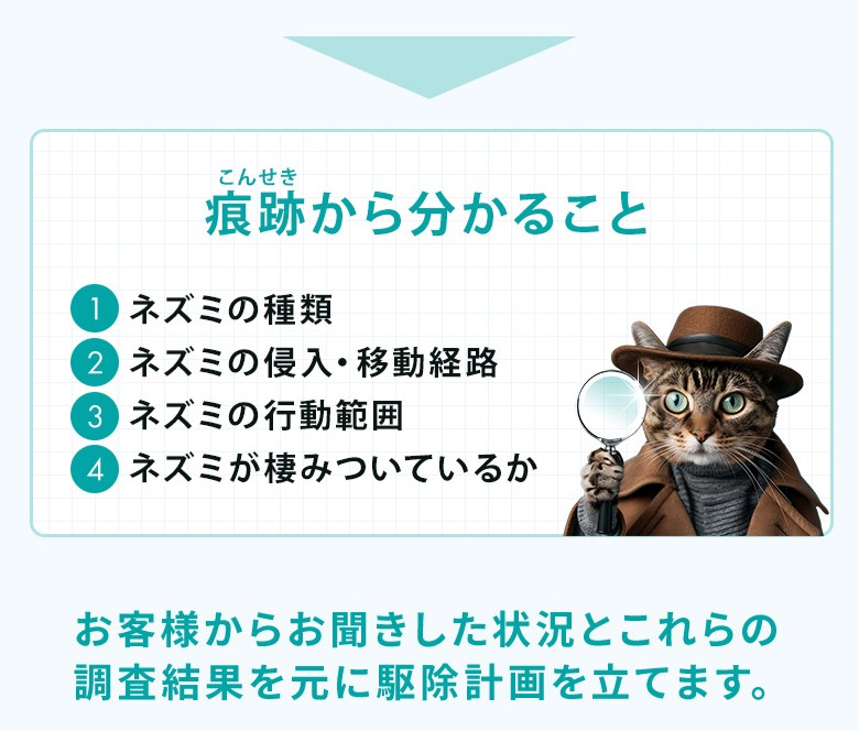 無料調査で以下のことが分かります！