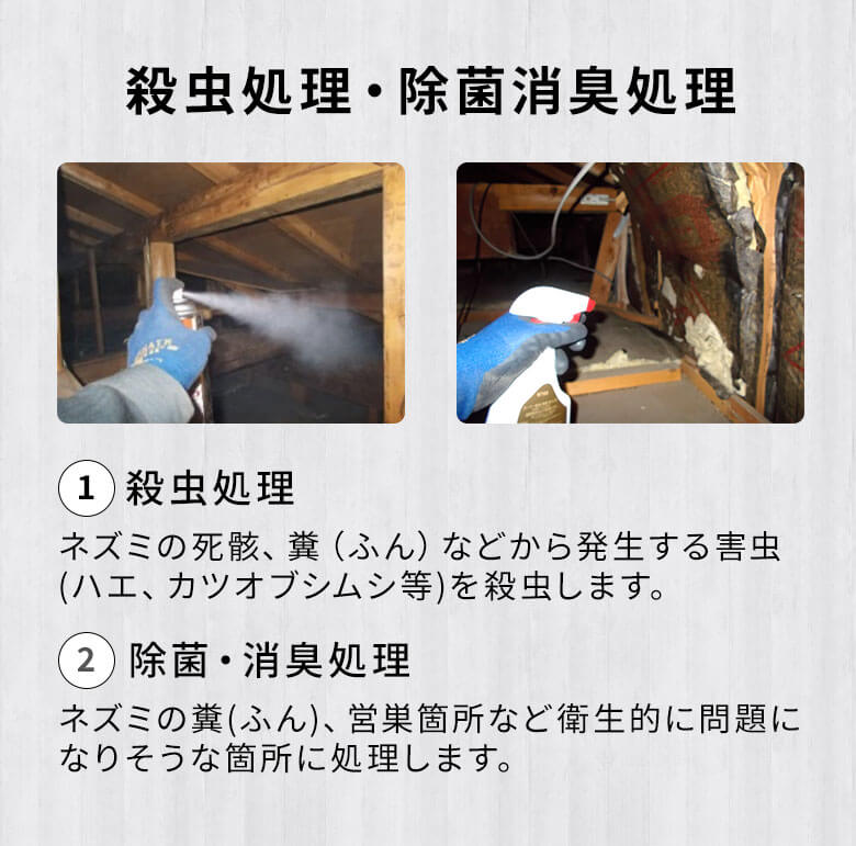 殺虫処理・除菌消臭処理