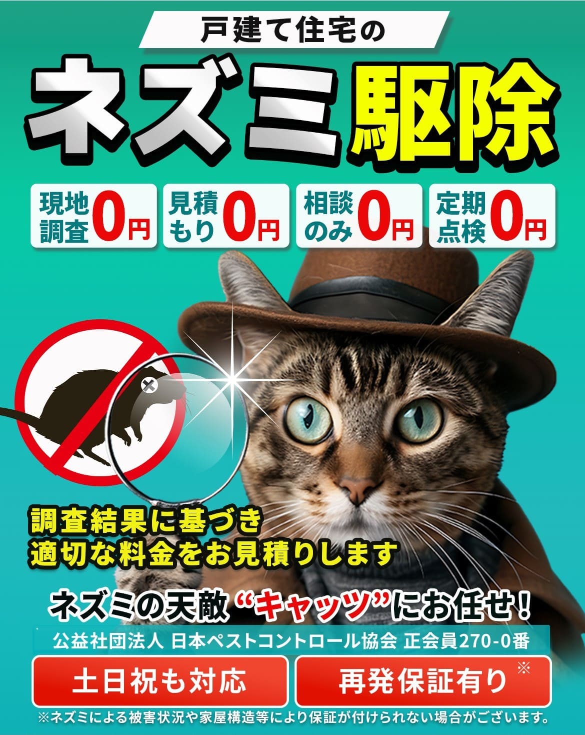 戸建て住宅のネズミ駆除はネズミの天敵”キャッツ”にお任せ!