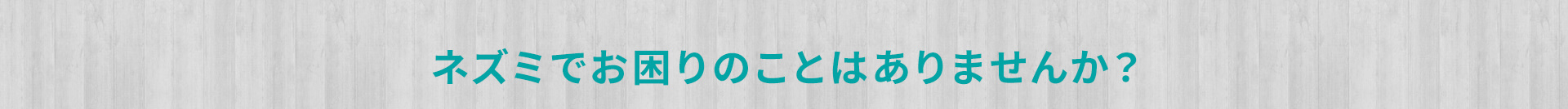 ネズミでお困りのことはありませんか？