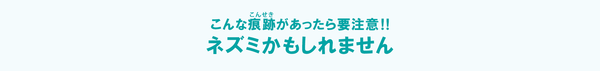 ネズミの痕跡を追う！
