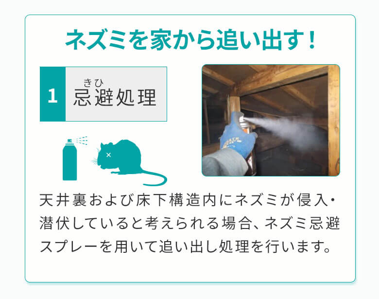 忌避処理