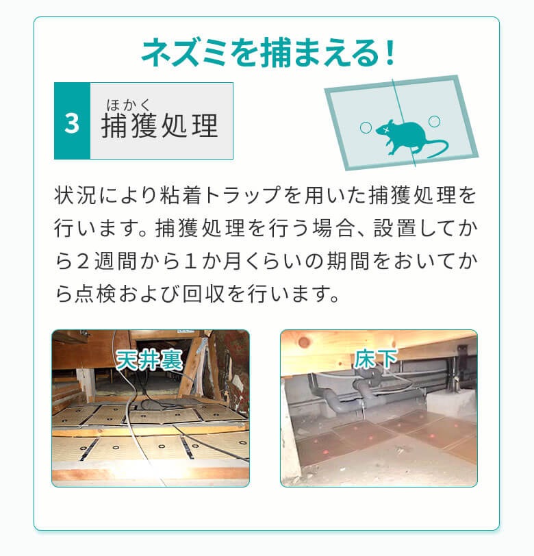 捕獲処理