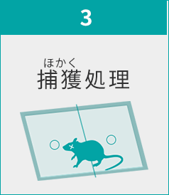 捕獲処理