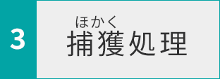 捕獲処理