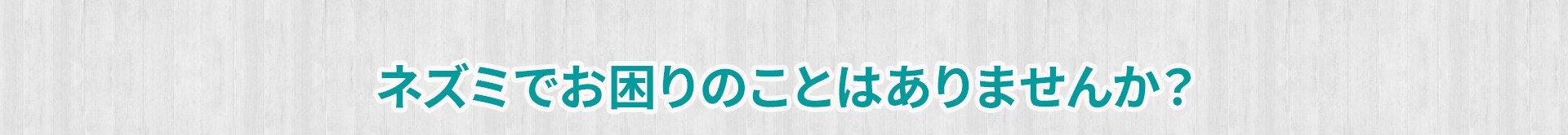 ネズミでお困りのことはありませんか？