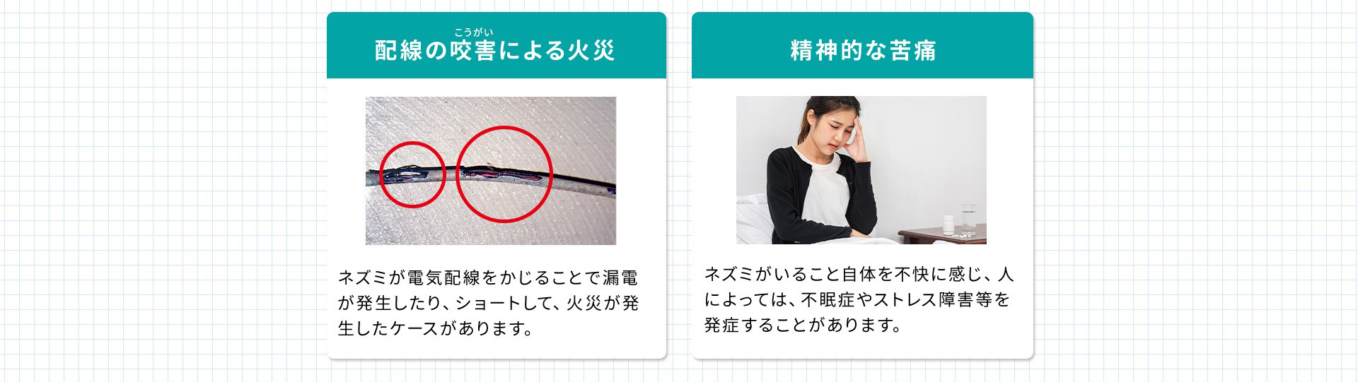 配線の咬害・精神的苦痛