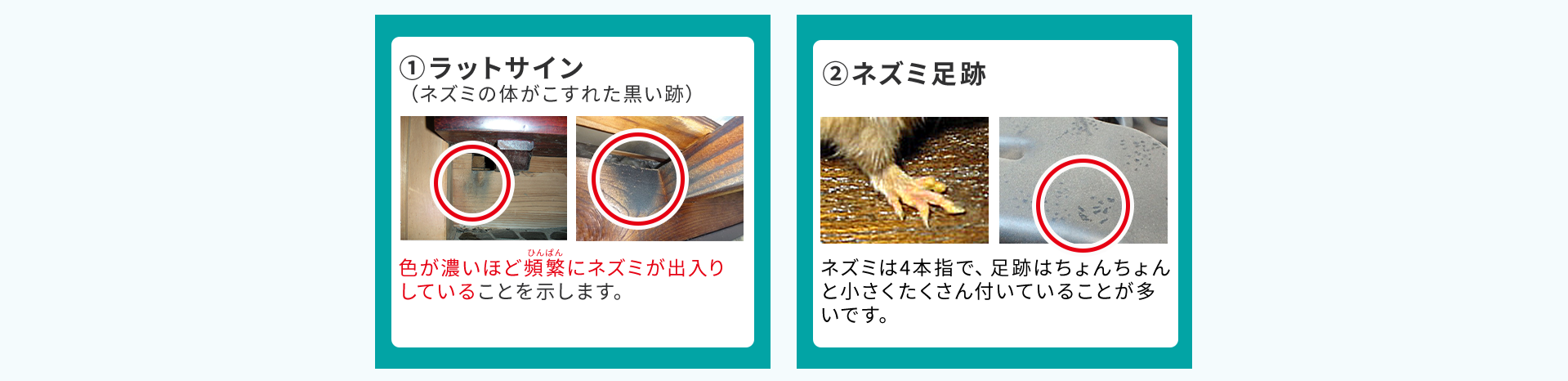 ラットサイン・ネズミ足跡