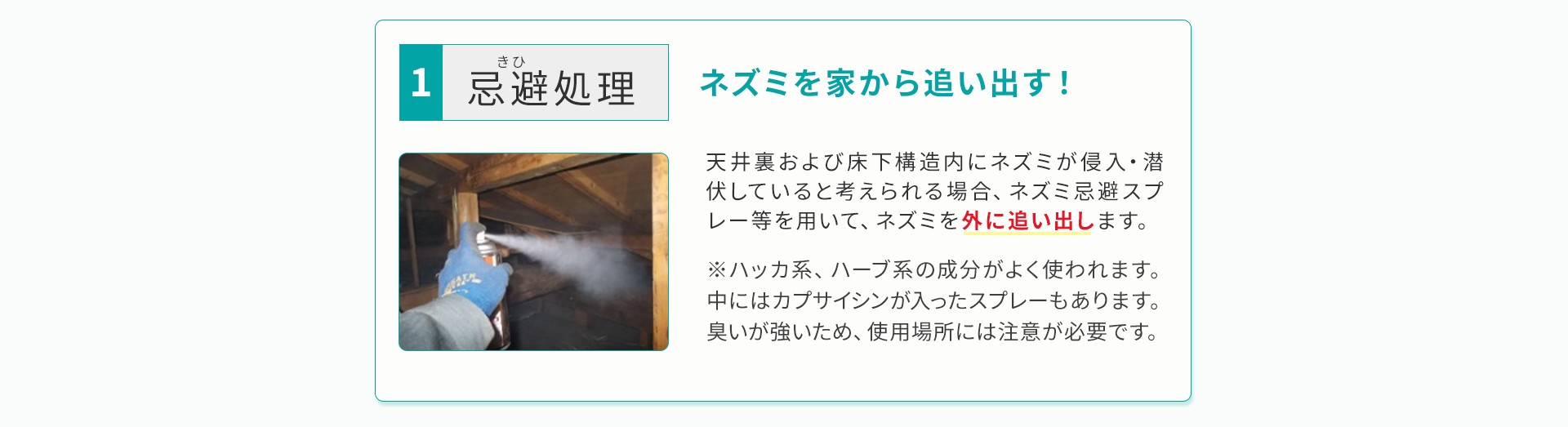 ネズミを家から追い出す