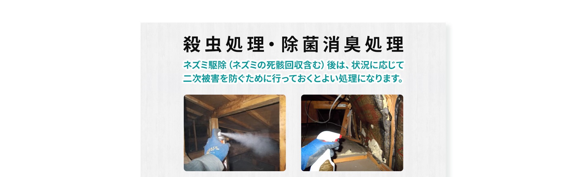 殺虫処理・除菌消臭処理