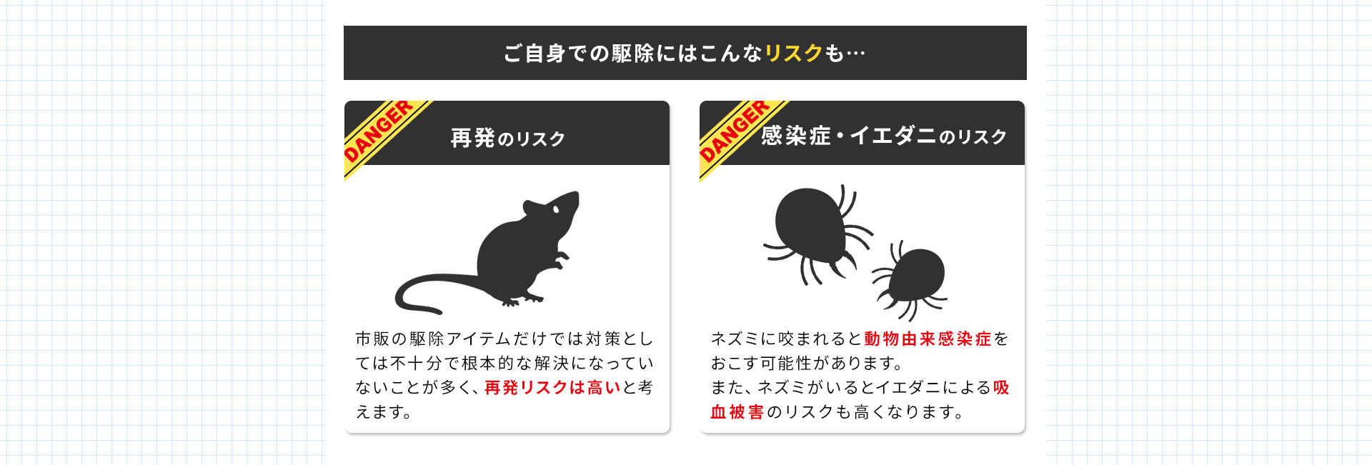 再発のリスク・感染症・イエダニのリスク