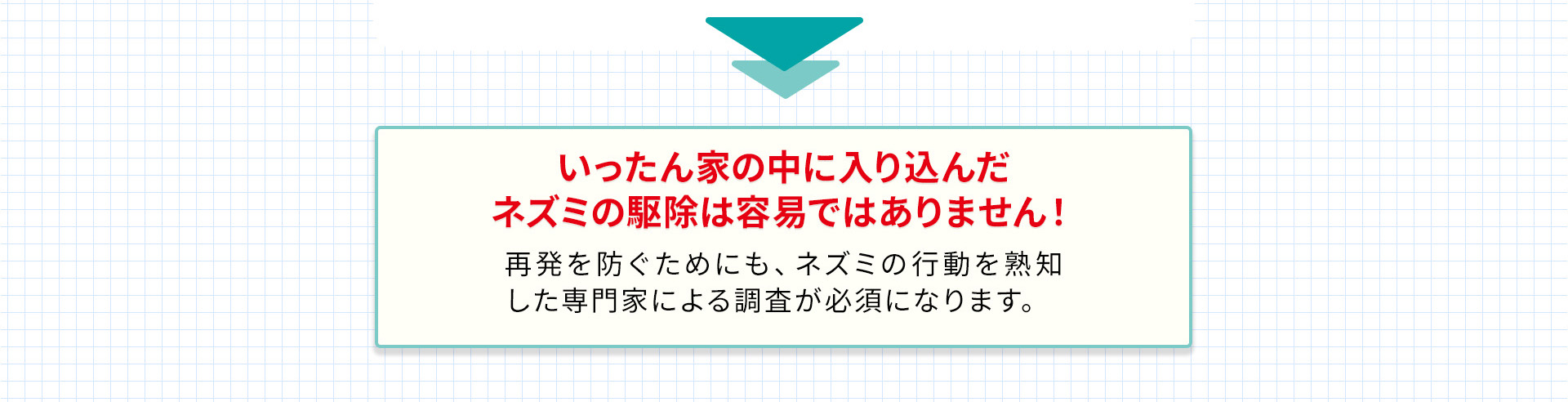 いったん家の中に入り込んだネズミの駆除は容易ではありません