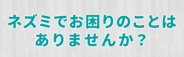ネズミでお困りのことはありませんか？