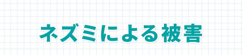 ネズミによる被害