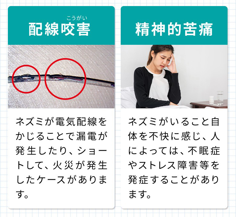 配線咬害・精神的苦痛