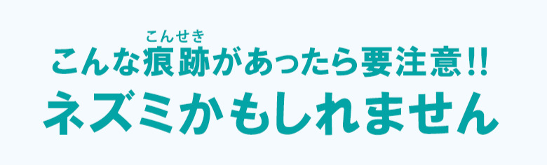 ネズミの痕跡を追う！