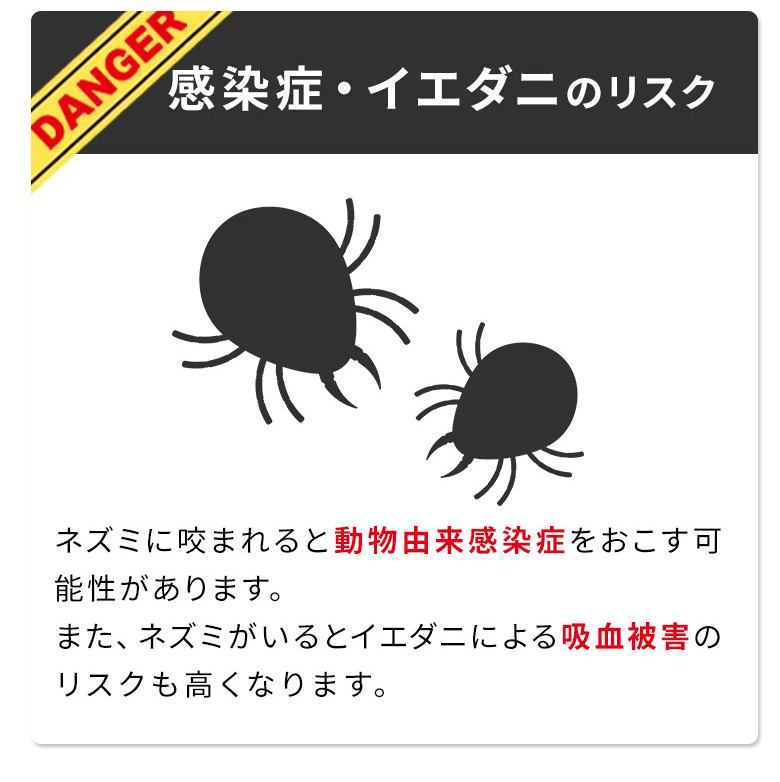 感染症・イエダニのリスク