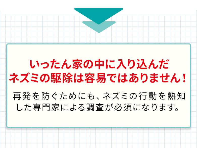 いったん家の中に入り込んだネズミの駆除は容易ではありません