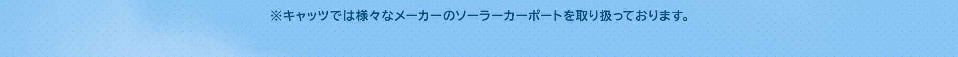 キャッツでは様々なメーカーのソーラーカーポートを取り扱っております。